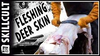 Fleshing Deer Hides for Tanning or Drying, Natural Leather Tanning