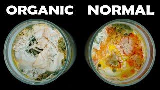 Timelapse : Organic Milk vs Normal Milk - 30 DAYS