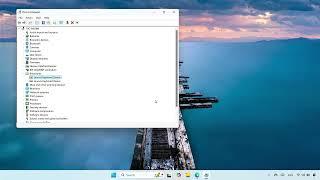 How To Fix Trackpad Not Working in Windows But Working in The BIOS Setup