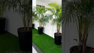 Areca palm plants in fiber planters with artificial grass installation done #shorts #garden #delhi