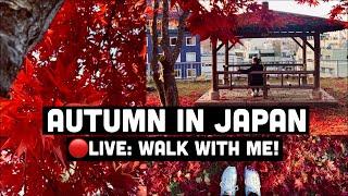 Autumn in Japan  Walk With Me! Fall Colours at Morioka Castle Park