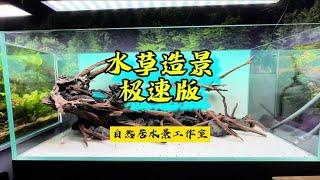 水草造景极速版 #鱼缸造景 #玻璃缸中的大自然 #草缸 #开缸~家庭和办公室的大自然【自然居水景记】