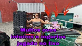 Dumpster dos supermercado dos estados unidos encontramos várias caixas de ovos e iogurte fechadas