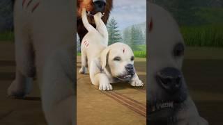 Resilient Pup Faces Off Against Mighty Bear #wolfgame #shorts