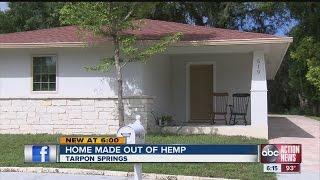 House made out of hemp