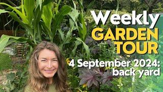 Weekly Garden Tour: 4 September 2024 back yard