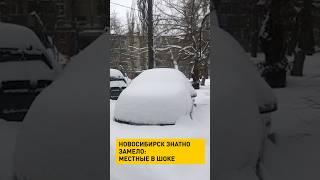 Новосибирск знатно замело: местные в шоке #новости #погода