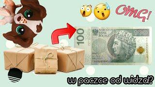 LPS: 100 ZŁ OD WIDZA!? - #16 Poczta Zafi