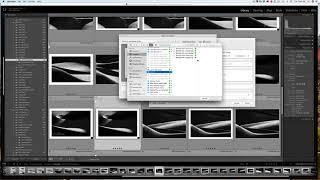 Photologo Export in Lightroom