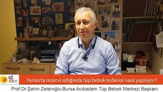 Yumurta rezervi azlığında tüp bebek tedavisi nasıl yapılıyor?