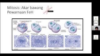 [DIFUSI] Webinar Ujian Praktikum Histologi Biomedik 1