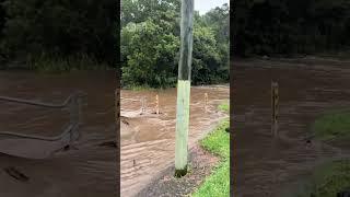 Brisbane Faces Flash Floods In Aftermath Of Ex-Tropical Cyclone Alfred | 10 News First