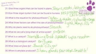 80 Quick Fire B2 questions for GCSE Biology and additional science revision