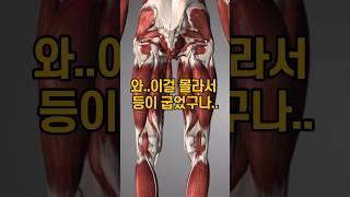 와..이걸 몰라서 등이 굽었구나..#피티원압구정 #김주영트레이너 #압구정피티 #압구정pt #굽은등