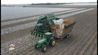 Cotton Harvest 2023 near Beasley Texas