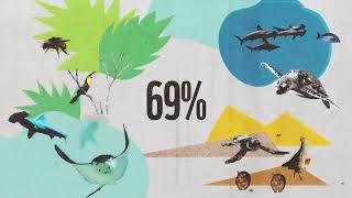 The Living Planet Report 2022  | WWF-Australia