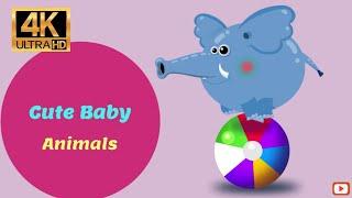 Cutest baby animals Videos Compilation | Cute moment of the Animals