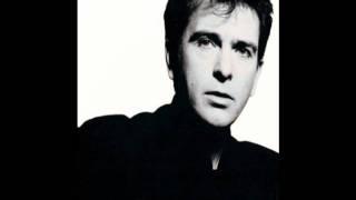 Peter Gabriel-Solsbury Hill Fast