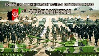 Taliban commando forces:The Taliban government is forming the largest commando forces in Afghanistan