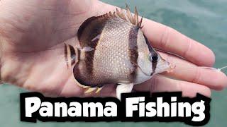 First Fishing Session in Panama City | Panama Fishing 