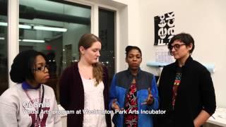 Art for All Gala 2014 Video