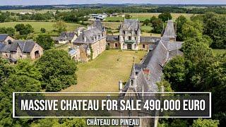 Enormous Chateau for sale - Chateau du pineau, bellevigne en layon