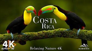 COSTA RICA 4K UHD - Exploring The Wild Side Of Costa Rica's Landscapes