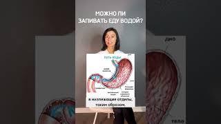 Можно ли пить во время еды или нет? И почему?