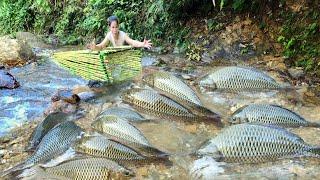 Ana made an ancient fish trap and caught a lot of big fish.