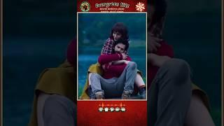 Tu Mera Koi Na Hoke Bhi… Arijit Singh Superhit | Movie: Bhediya (2022)