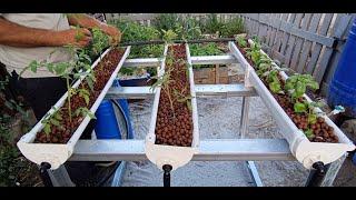 DIY automated hydroponic system at home