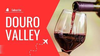 Douro Valley Tour: A Day of Wine, Views, and Adventure