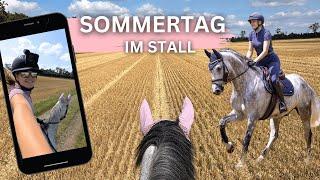 EIN SOMMERTAG AM STALL ️ Vlog