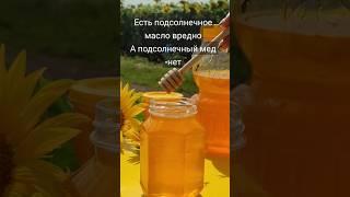 А какой мед любите вы? Наш WatsApp: 89954146475 #мёд #пасека #пчеловодство #пчелы