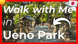 Walking in Tokyo: Ueno Park