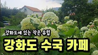 유럽풍 건물 이국적인 강화도 카페, 수국 보러 갔어요 브런치 카페로 이미 소문난 곳