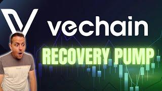 VET Recovery, What next