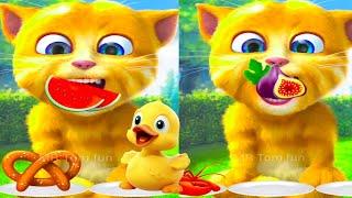 Talking Ginger Funny Videos | talking tom | talking ginger |