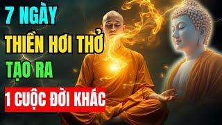 Cách Thực Hành Thiền Hơi Thở Ngay Trong Đời Sống Thường Ngày