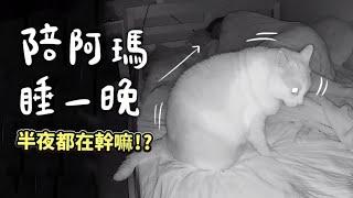 【黃阿瑪的後宮生活】陪阿瑪睡一晚！半夜都在幹嘛！？