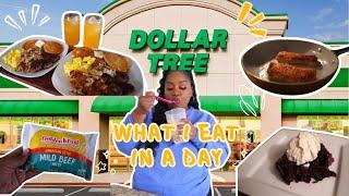 CHALLENGE ACCEPTED! I Ate ONLY at the DOLLAR TREE For 24hrs! Extreme BUDGET Meals!