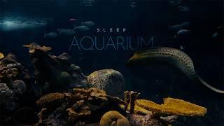 Sleep Aquarium • no music • Underwater Soundscape ASMR