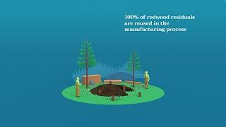 Redwood: Building More (Arbor :30)