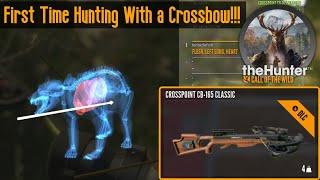 First Time Hunting With a Crossbow! The Crosspoint CB-165 theHunter Call of the Wild