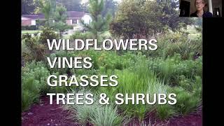 Native Plants for Florida Gardens with Stacey Matrazzo