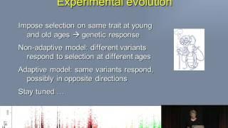 Dr. Kim Hughes Evolution Meetings Presidential Address