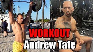 Andrew Tate Workout und meine Meinung. Sinnvoll?