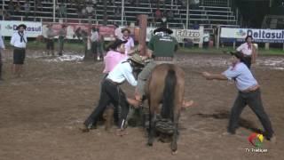 23º Rodeio Internacional do Conesul - Gineteada (1ª classificatória)