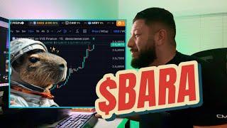 Capybara Nation $Bara Crypto Coin Gecko