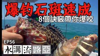 【水溝流路亞-56】-爆釣石斑訣竅公開-第一次釣就爆咬